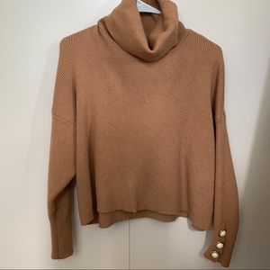 Zara Turtleneck